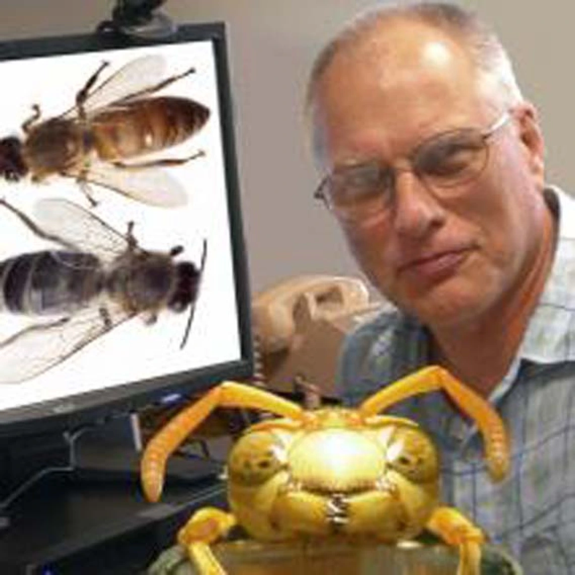 Wulfila Gronenberg, Ph.D.